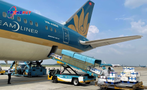 Hàng hoá được vận chuyển và di chuyển xuống sân bay Phú Quốc