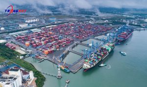 Vận chuyển container đường biển đi Phú Quốc