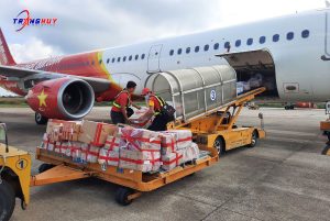 Trang Huy vận chuyển hàng hoá quốc tế
