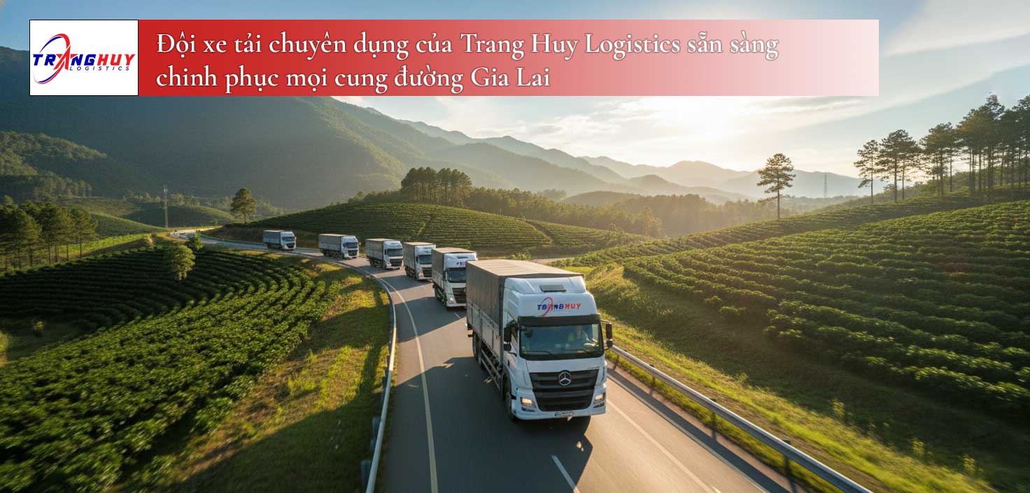 Đội xe tải chuyên dụng của Trang Huy Logistics sẵn sàng chinh phục mọi cung đường Gia Lai